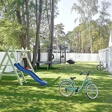 Gustav مينزفوجة